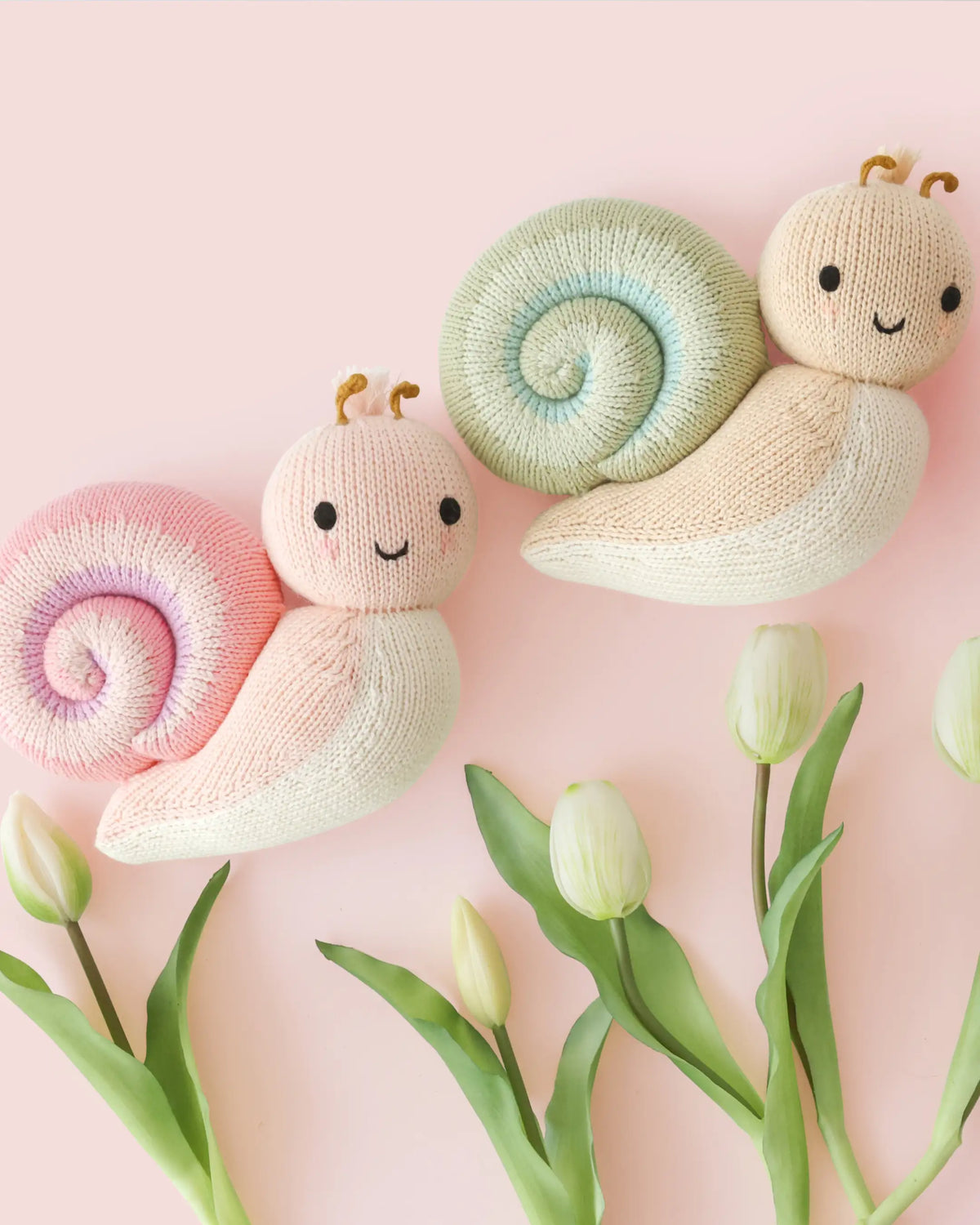 Baby snail (morning dew)